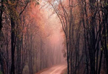 问鼎娱乐官网:张帅搭档亚历山德罗娃晋级查尔斯顿站女双8强,下轮将战头号种子.