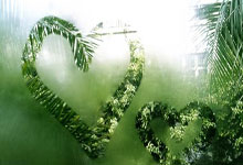 米体:尤文正在评估韦加去留,可能不会尝试买断.